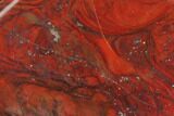 Polished Stromatolite (Collenia) - Minnesota #126089-1